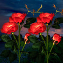 Rosas de Energia Solar - Swanlight - Decore seu Jardim - Swanutilidades