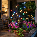 Led de Energia Solar Vagalume - Decoração de Natal