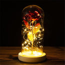 Cúpula de Rosas com Led- Beautiful Love - Presentes - Swanutilidades
