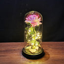 Cúpula de Rosas com Led- Beautiful Love - Presentes - Swanutilidades