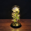 Cúpula de Rosas com Led- Beautiful Love - Presentes - Swanutilidades