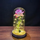Cúpula de Rosas com Led- Beautiful Love - Presentes - Swanutilidades